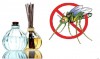 Công ty diệt muỗi tại Nghệ An: Mách bạn bí kíp đuổi muỗi bằng tinh dầu tự nhiên.