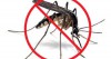 Diệt muỗi Vinh chia sẻ đến bạn cách chọn thuốc diệt muỗi chất lượng
