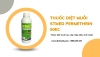 Stmed Permethrin 50EC - Thuốc diệt muỗi cao cấp nhập khẩu Anh Quốc