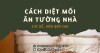 Hướng dẫn cách diệt mối ăn tường nhà cực dễ, hiệu quả cao