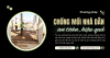 Phương pháp chống mối nhà dân an toàn, hiệu quả
