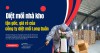 Diệt mối nhà kho tận gốc, giá rẻ của công ty diệt mối Long Quân