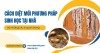 Cách diệt mối phương pháp sinh học tại nhà và những lưu ý quan trọng