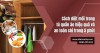 Cách diệt mối trong tủ quần áo hiệu quả và an toàn chỉ trong 5 phút
