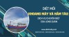 Diệt mối khoang máy và hầm tàu: Dịch vụ chuyên biệt của Long Quân