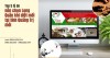 Top 5 lý do nên chọn Long Quân khi diệt mối tại tỉnh Quảng Trị mới