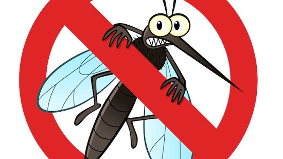 Các bước diệt muỗi của công ty diệt muỗi ở Nghệ An
