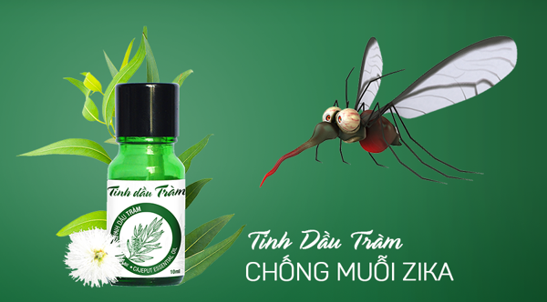 4 cách diệt muỗi tự nhiên không cần dùng đến thuốc