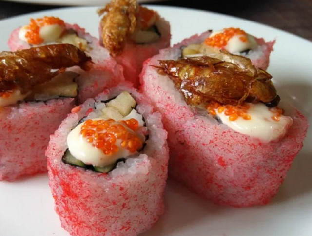 Công ty diệt mối ở Nghệ An Món sushi gián, đặc sản của người dân Trung Quốc