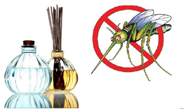 Công ty diệt muỗi tại Nghệ An: Mách bạn bí kíp đuổi muỗi bằng tinh dầu tự nhiên.