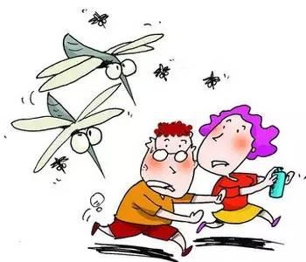 công ty diệt muỗi tại Nghệ An: Phương pháp phòng tránh muỗi dân gian