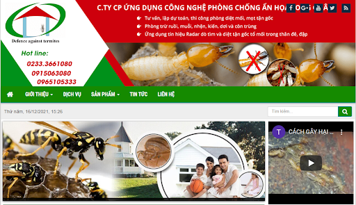 cong ty diet moi tan goc tai vinh nghe an uy tin chuyen nghiep gia re 2