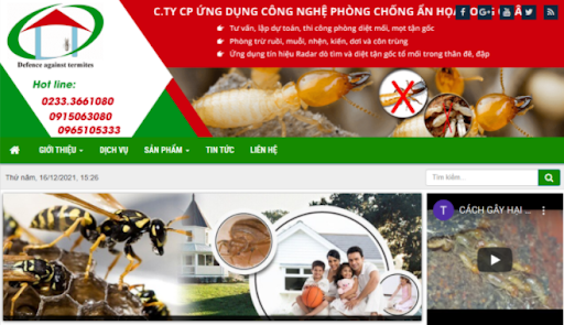 cong ty diet muoi tai dong ha quang tri uy tin gia re 3