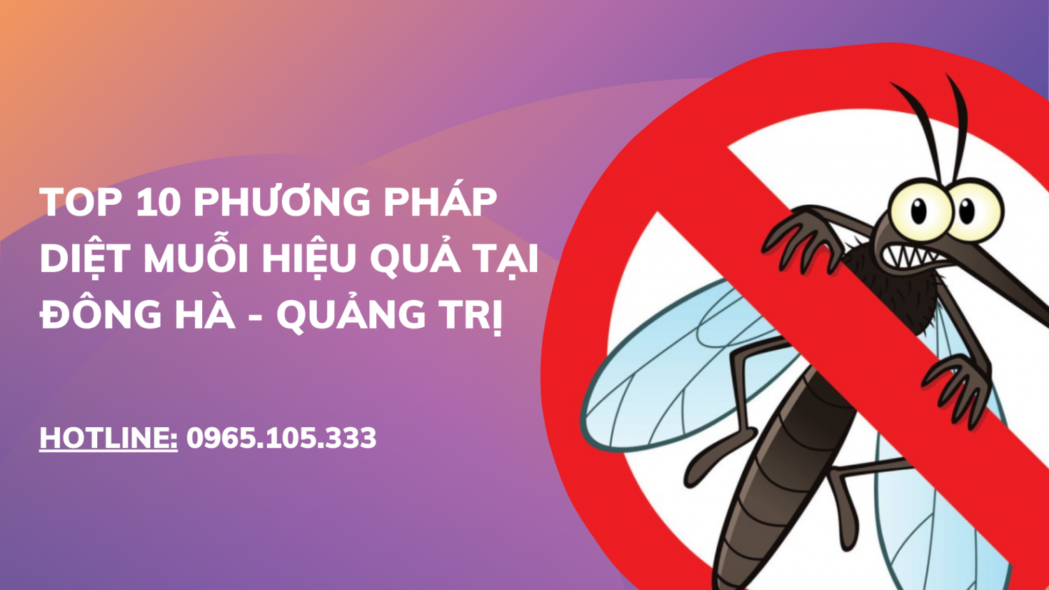 TOP 10 phương pháp diệt muỗi hiệu quả tại Đông Hà - Quảng Trị