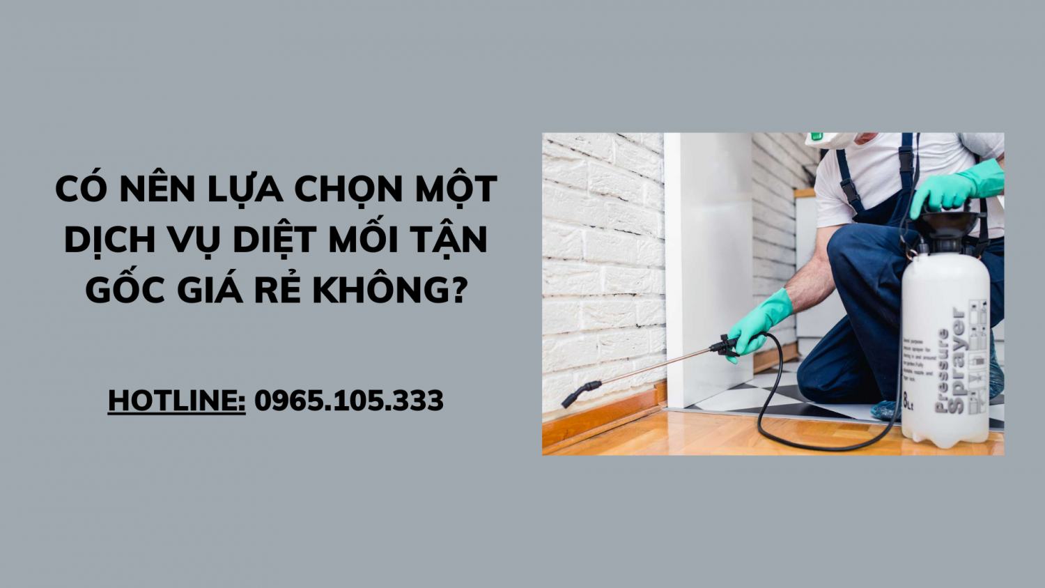 Có nên lựa chọn một dịch vụ diệt mối tận gốc giá rẻ không?