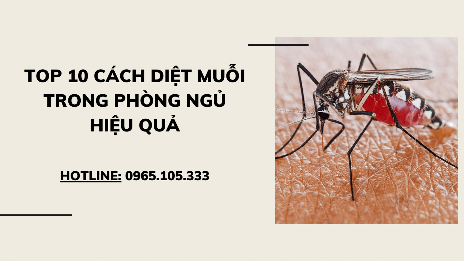 TOP 10 cách diệt muỗi trong phòng ngủ hiệu quả