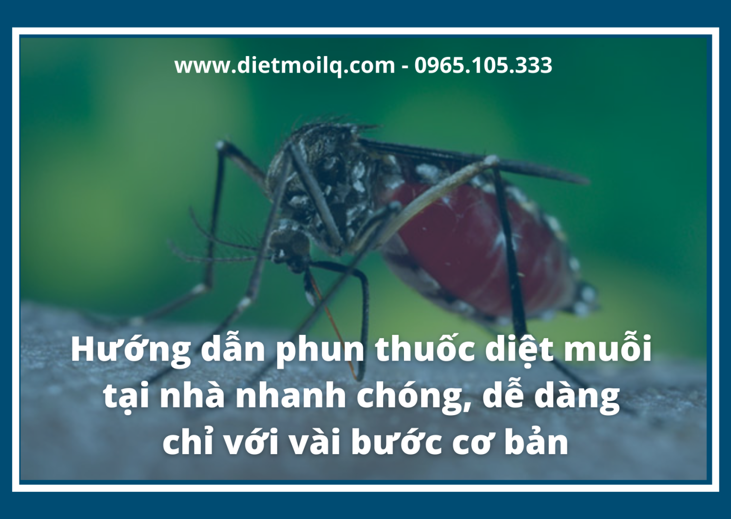 Hướng dẫn phun thuốc diệt muỗi tại nhà nhanh chóng, dễ dàng chỉ với vài bước cơ bản