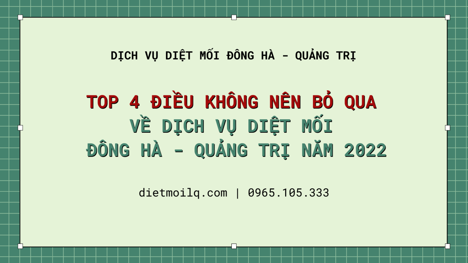 TOP 4 điều không nên bỏ qua về dịch vụ diệt mối Đông Hà - Quảng Trị năm 2022