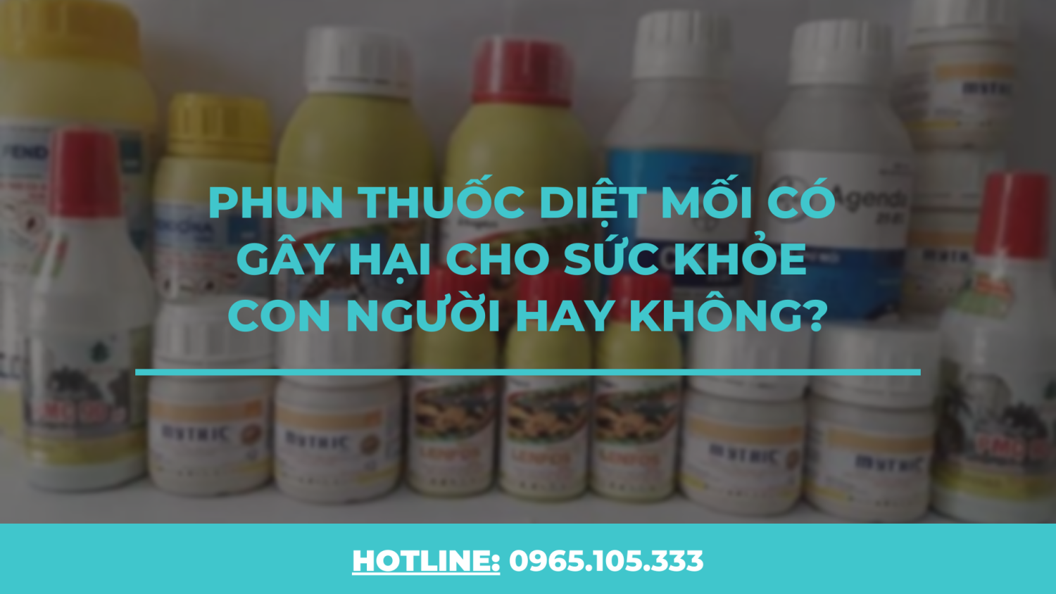 Phun thuốc diệt mối có gây hại cho sức khỏe con người hay không?