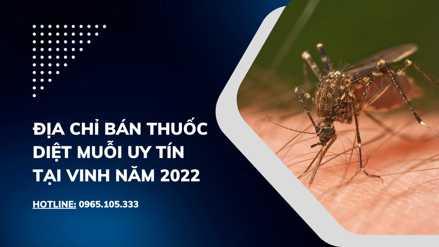 Địa chỉ bán thuốc diệt muỗi uy tín tại Vinh năm 2022