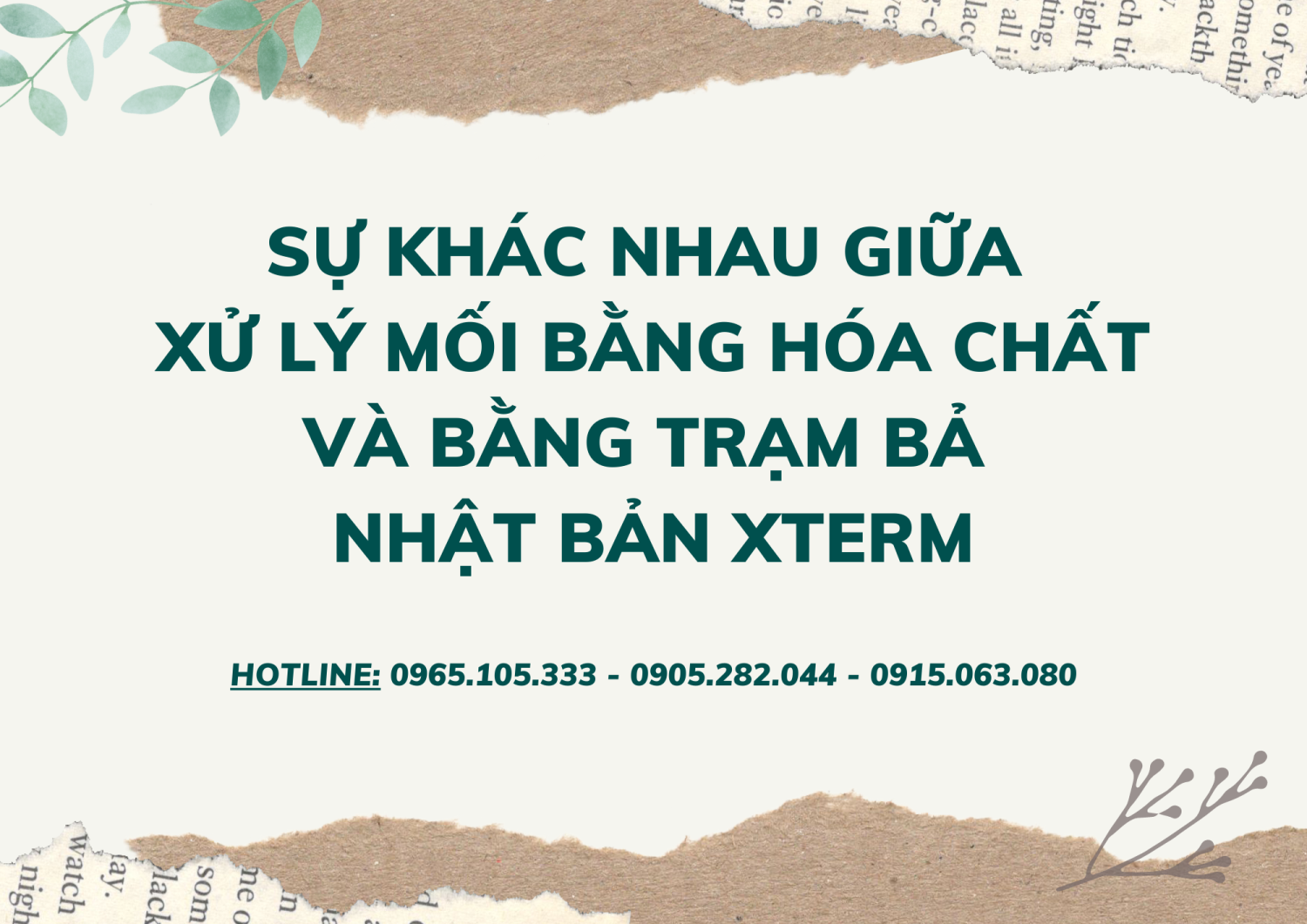 Sự khác nhau giữa xử lý mối bằng hóa chất và bằng trạm bả Nhật Bản Xterm