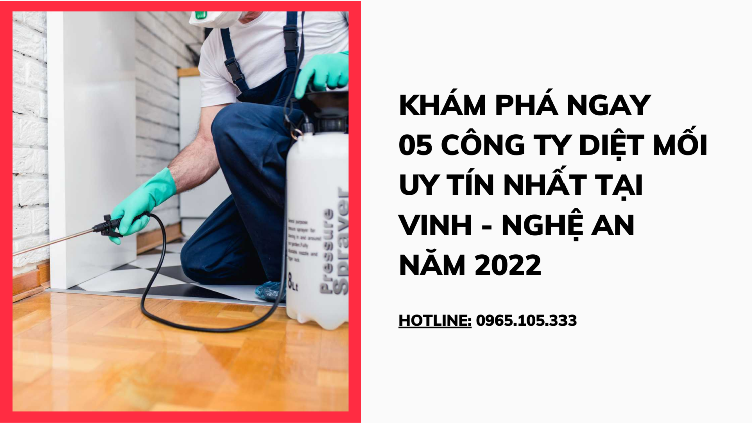 Khám phá ngay 05 công ty diệt mối uy tín nhất tại Vinh - Nghệ An năm 2022