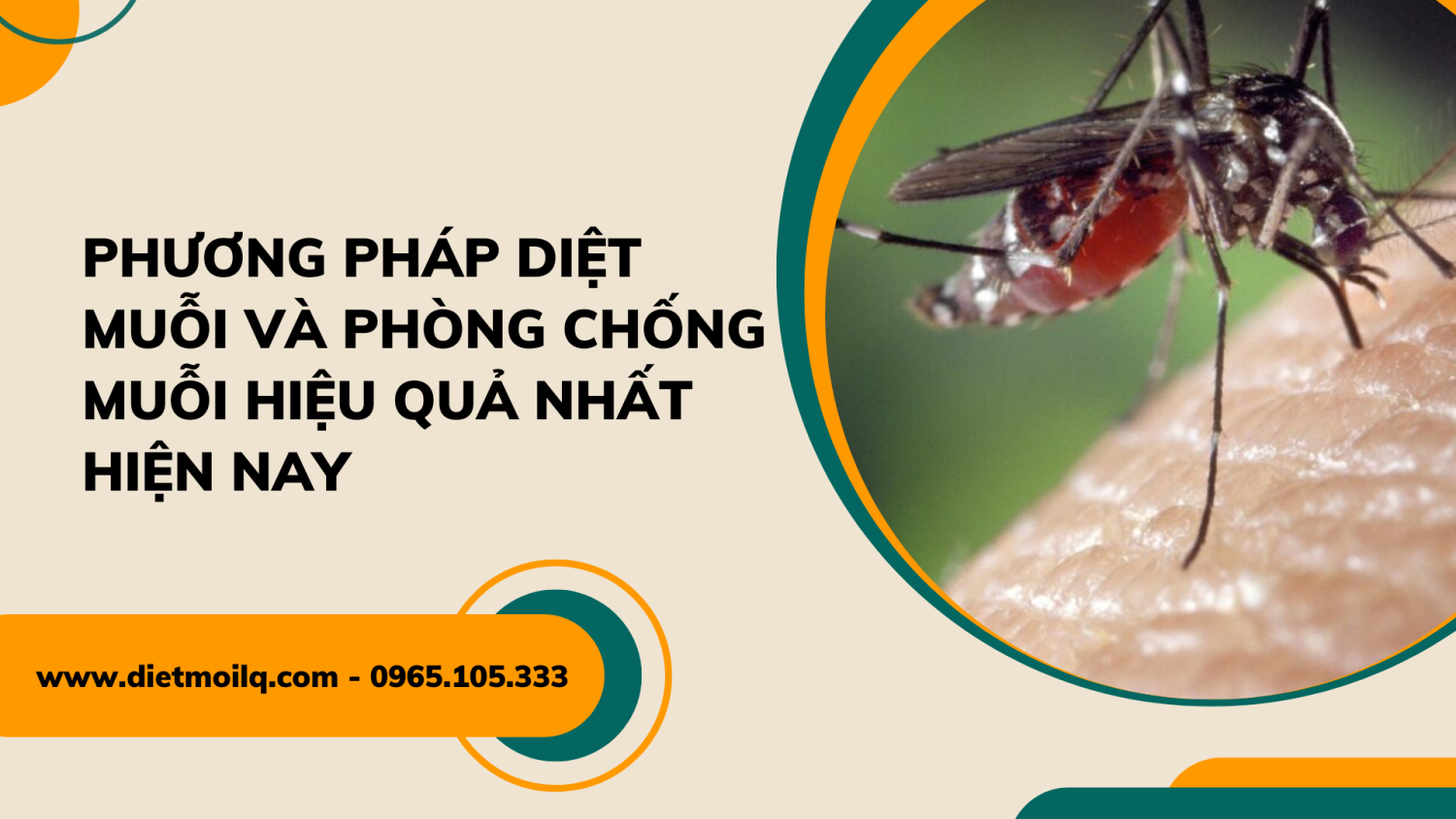 Phương pháp diệt muỗi và phòng chống muỗi hiệu quả nhất hiện nay