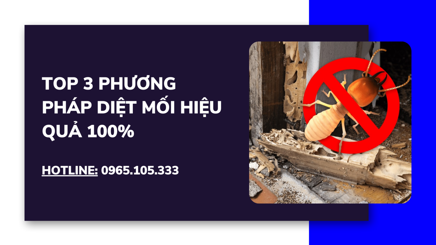 TOP 3 phương pháp diệt mối hiệu quả 100%