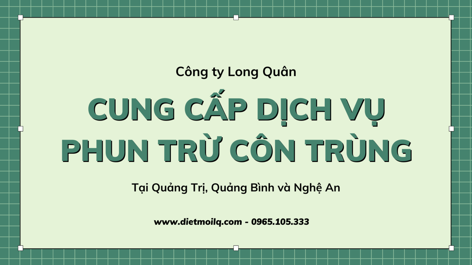 Công ty uy tín chuyên cung cấp dịch vụ phun trừ ruồi, muỗi, nhện, kiến, chuột, dơi và côn trùng tại Quảng Trị, Quảng Bình và Nghệ An