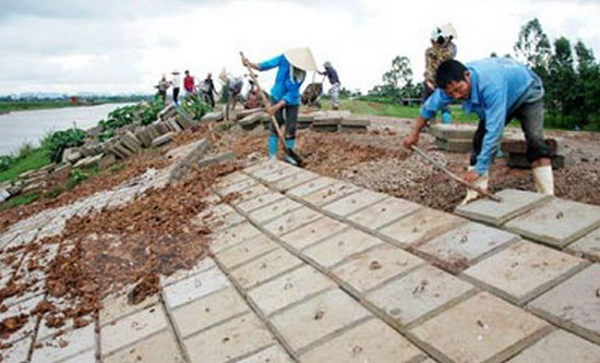 Tìm hiểu cách khảo sát, lập dự toán, thi công phòng diệt mối thân, đê, đập