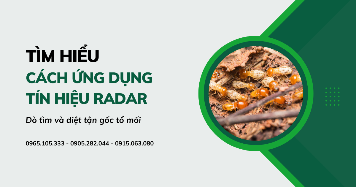 Ứng dụng tín hiệu Radar dò tìm và diệt tận gốc tổ mối