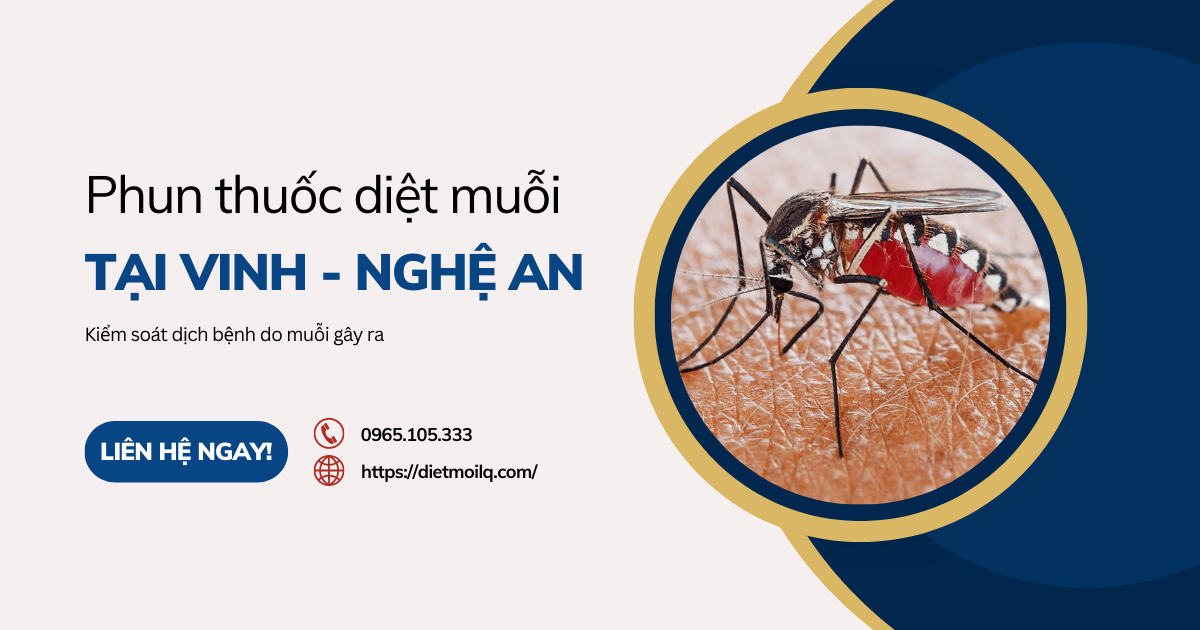 Phun thuốc diệt muỗi tại Vinh - Nghệ An, kiểm soát dịch bệnh do muỗi gây ra