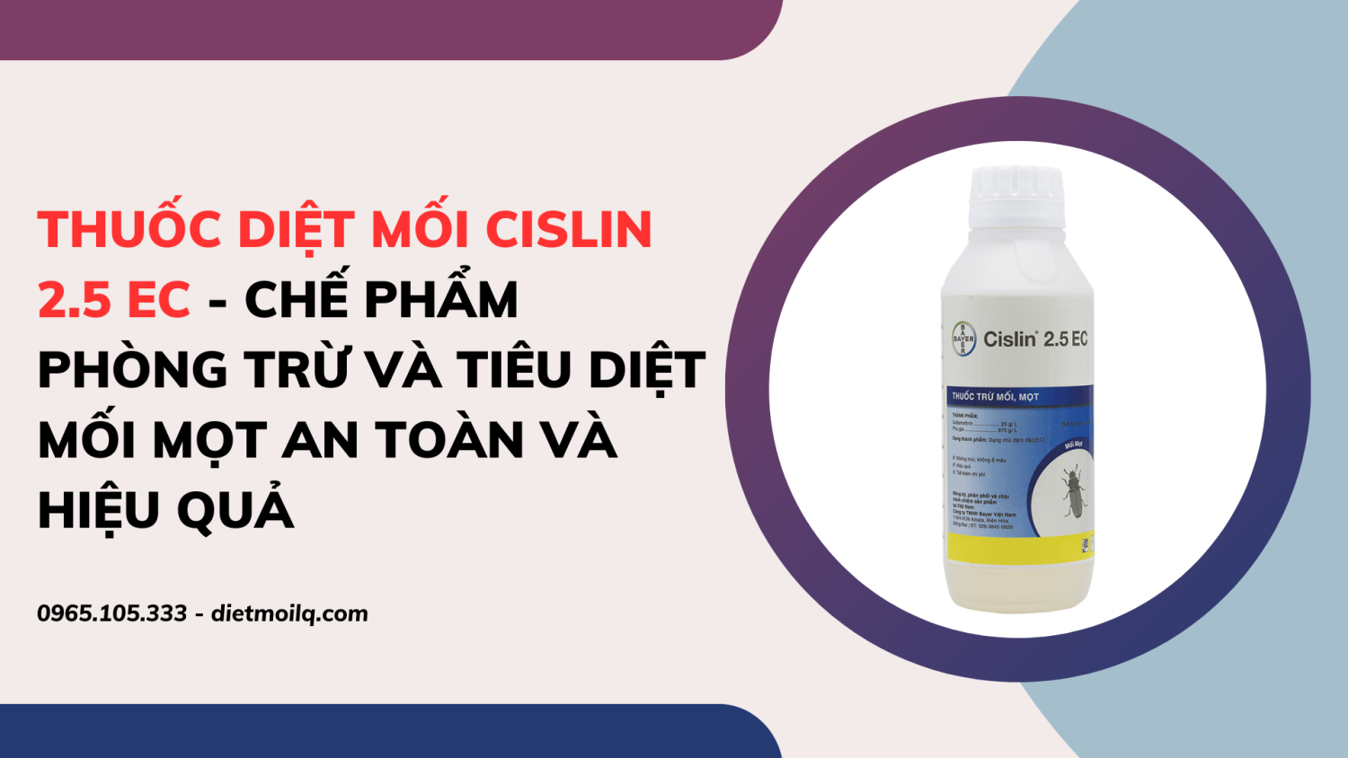 Thuốc diệt mối Cislin 2.5 EC - Chế phẩm phòng trừ và tiêu diệt mối mọt an toàn và hiệu quả