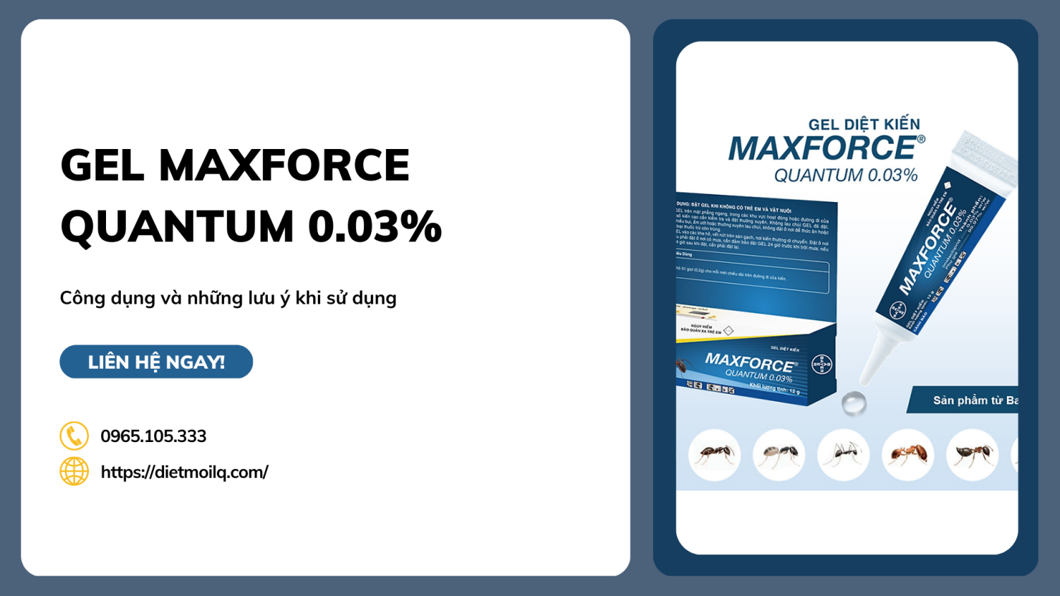 Diệt kiến dạng Gel Maxforce Quantum 0.03% - Công dụng và những lưu ý khi sử dụng