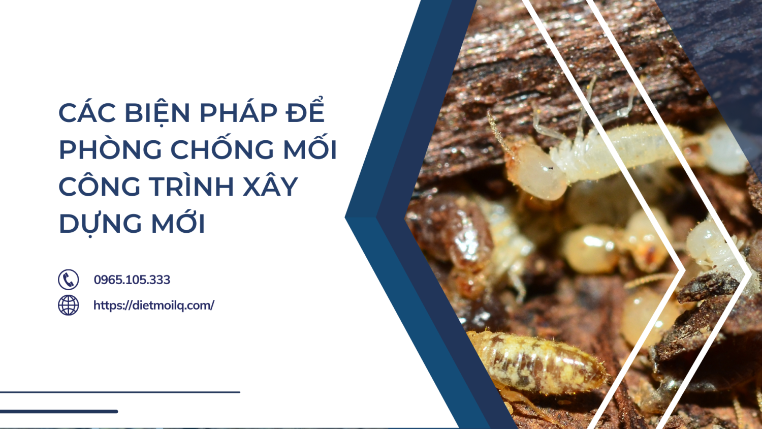 Các biện pháp để phòng chống mối công trình xây dựng mới