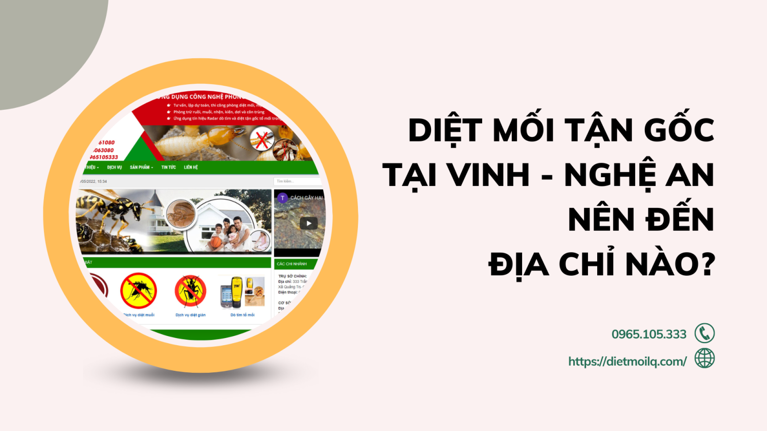 Diệt mối tận gốc tại Vinh - Nghệ An. Nên đến địa chỉ nào?