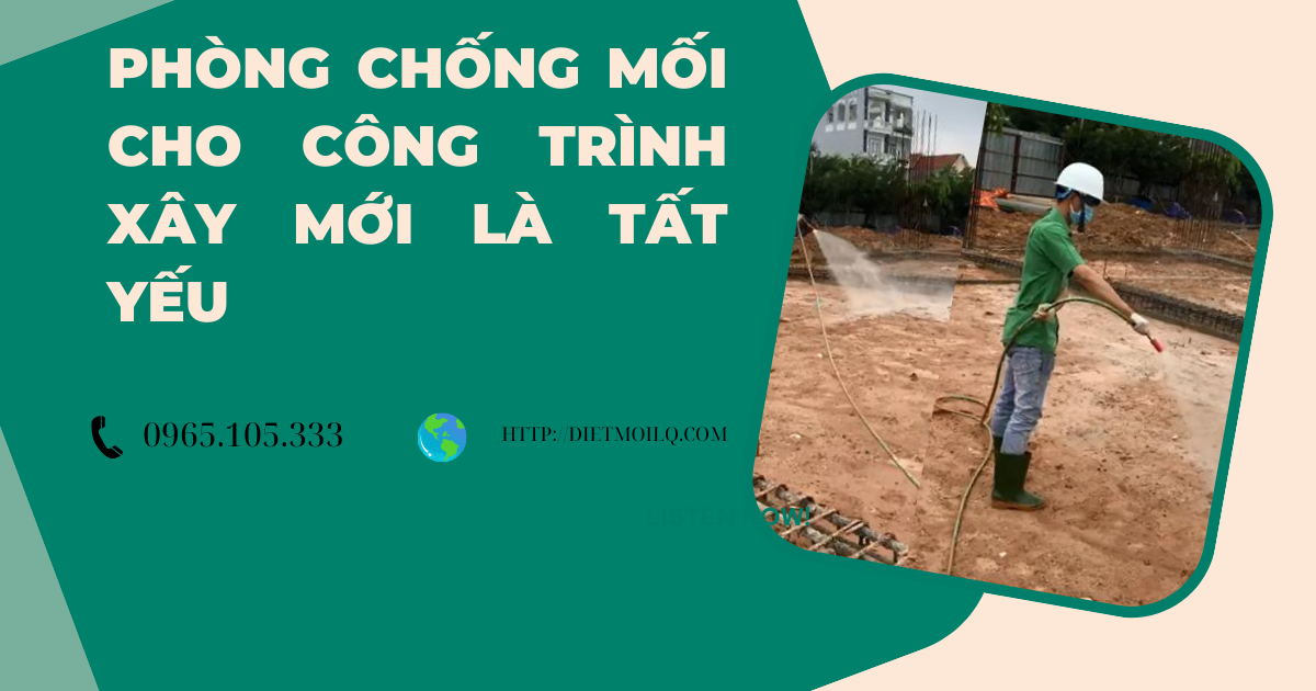 Phòng chống mối cho công trình xây mới là tất yếu