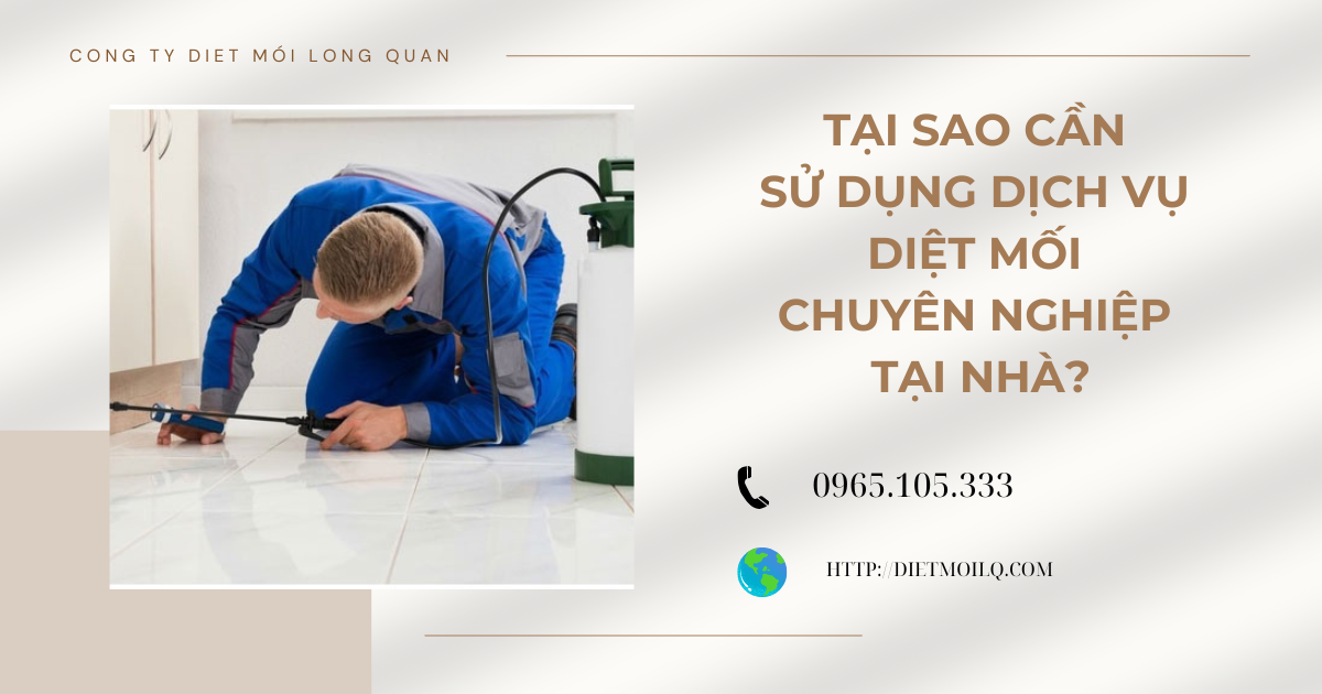 Tại sao cần sử dụng dịch vụ diệt mối chuyên nghiệp tại nhà?