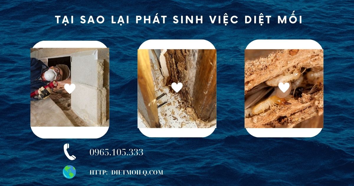 Tại sao lại phát sinh việc diệt mối?