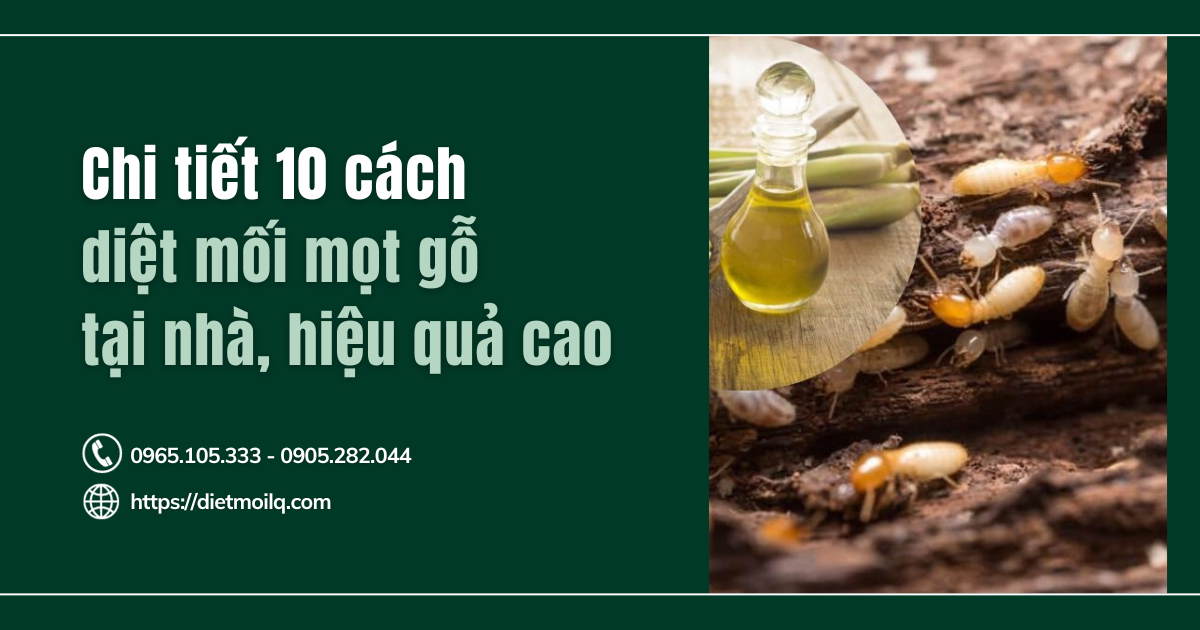 Chi tiết 10 cách diệt mối mọt gỗ tại nhà, hiệu quả cao