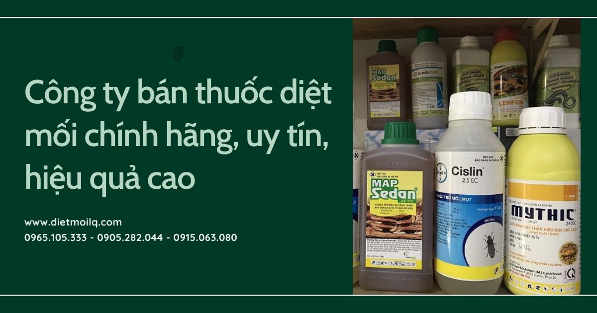 Công ty bán thuốc diệt mối chính hãng, uy tín, hiệu quả cao