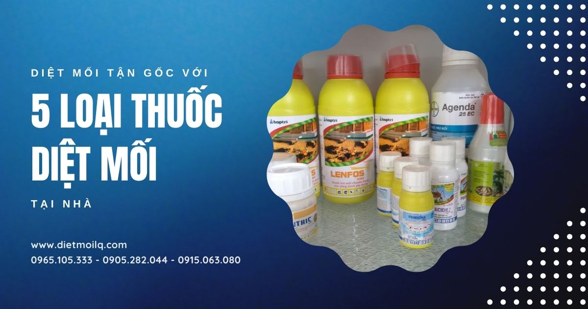 Diệt mối tận gốc với 5 đồ diệt mối bằng thuốc tại nhà