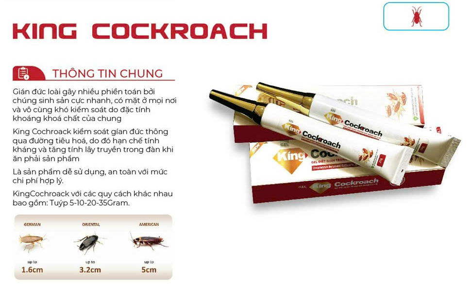 Gel diet gian King CockRoach (1)