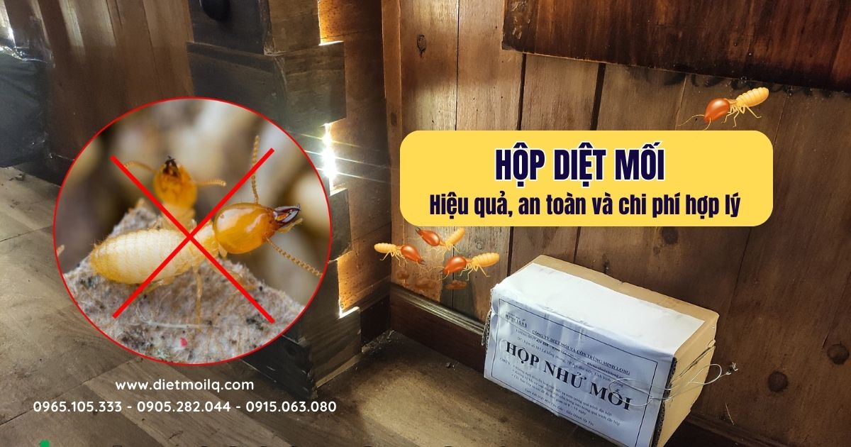 Hộp diệt mối - Hiệu quả, an toàn và chi phí hợp lý