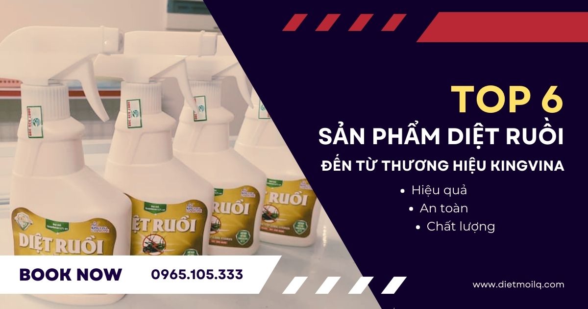 TOP 6 sản phẩm diệt ruồi đến từ thương hiệu KingVina