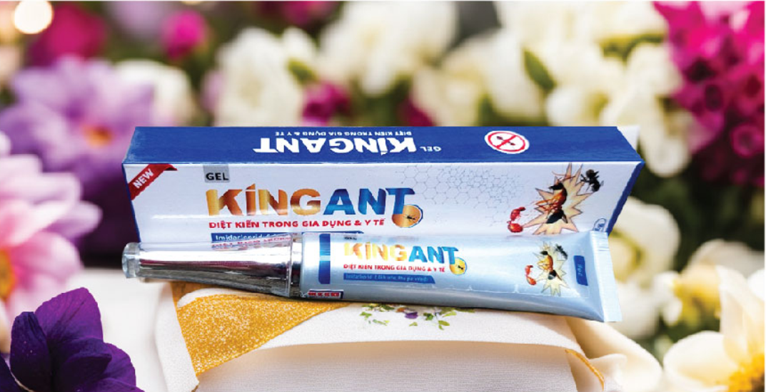 Gel diet kien King Ant (2)