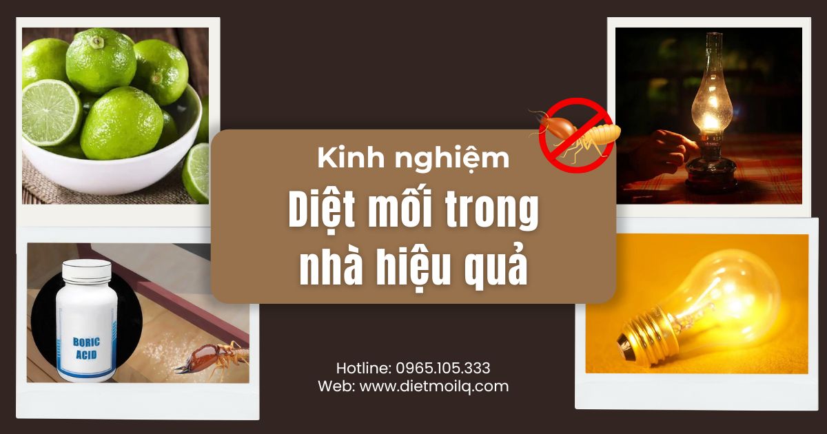 kinh nghiem diet moi trong nha (2)