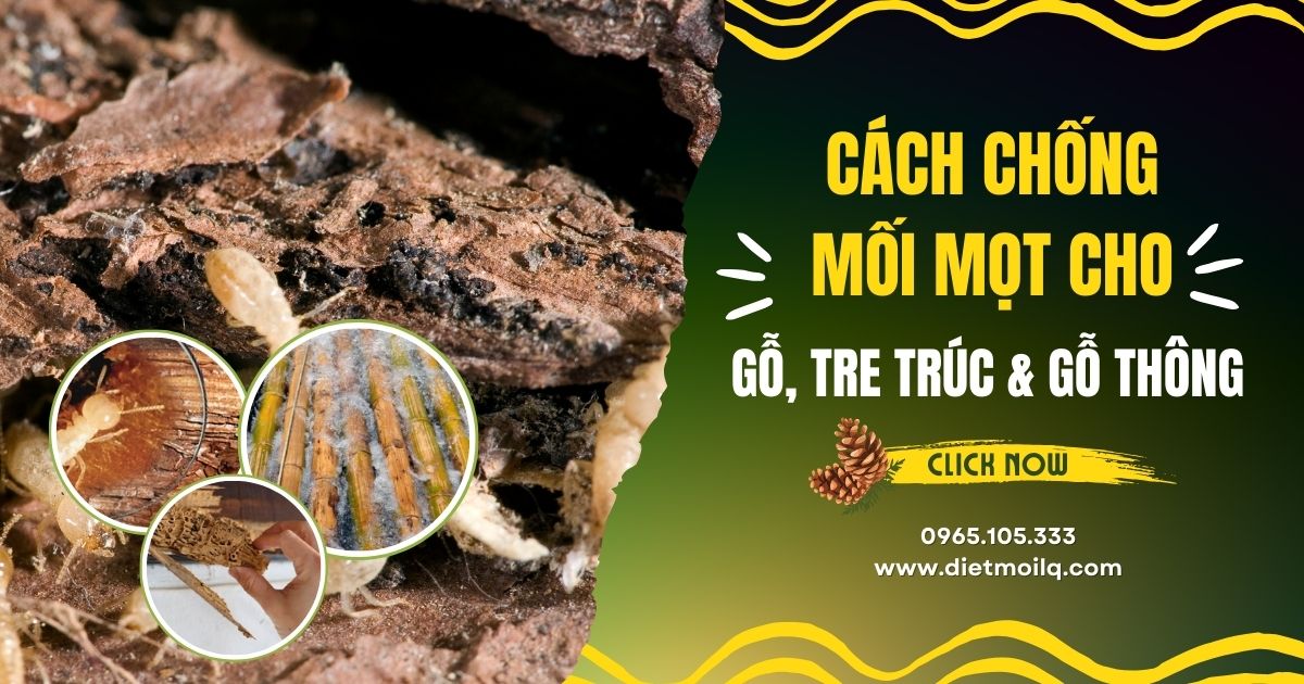 Cách chống mối mọt cho gỗ, cho tre và cho gỗ thông