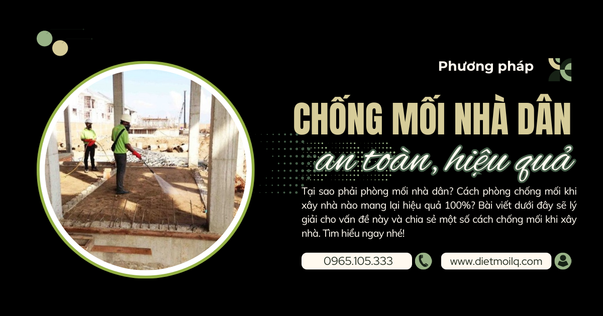Phương pháp chống mối nhà dân an toàn, hiệu quả