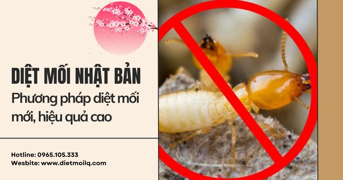 Diệt mối Nhật Bản – Phương pháp diệt mối mới, hiệu quả cao